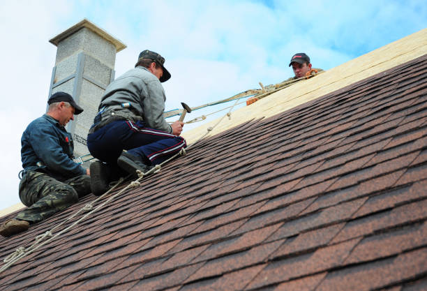Roof Waterproofing Services in Aledo, TX